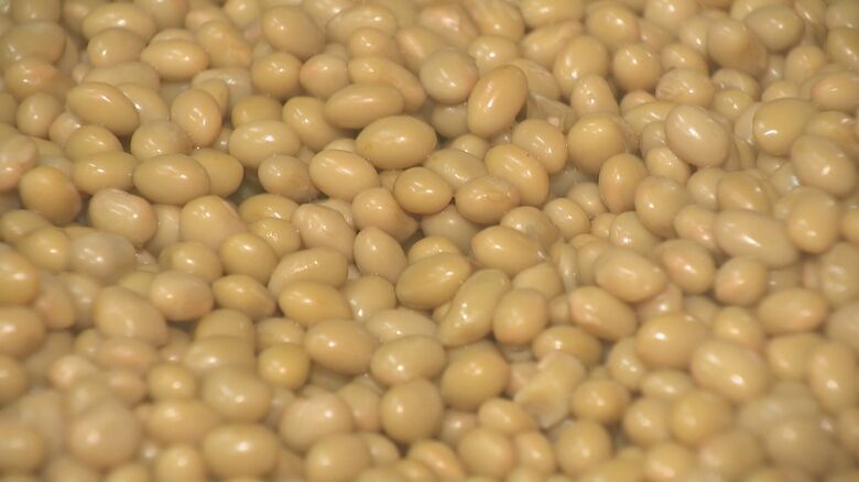 北海道産の大豆