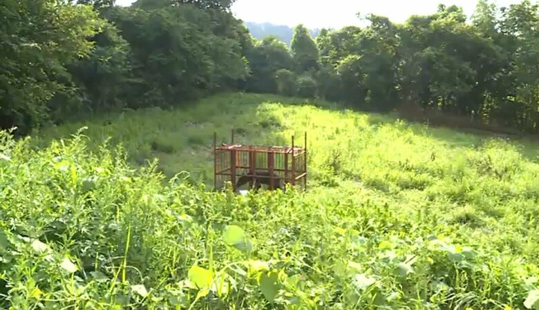 付近には果樹園のほか住宅も