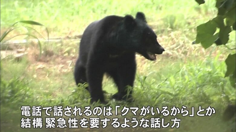 クマの出没が相次いだ2023年を振り返る柿木さん