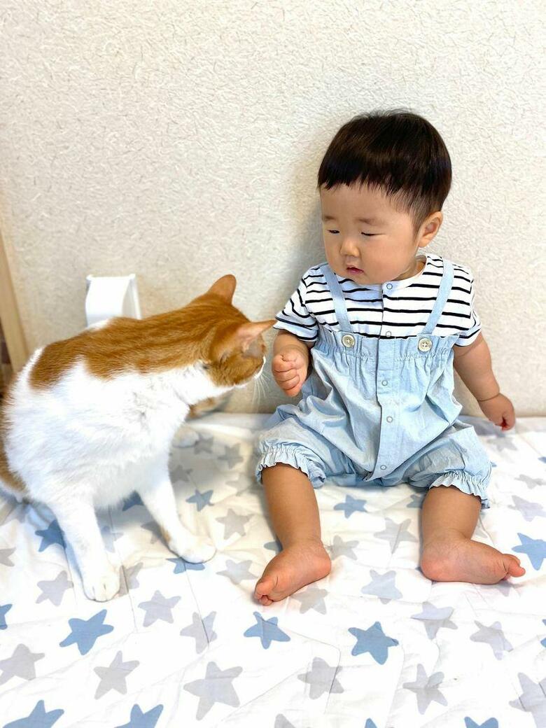 提供：Hassakuさん