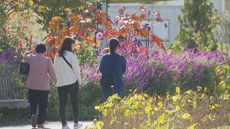 みつけイングリッシュガーデン