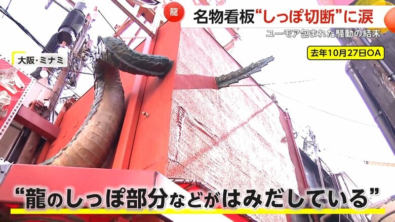 しっぽ部分が越境し、隣接する土地所有者が撤去求めていた