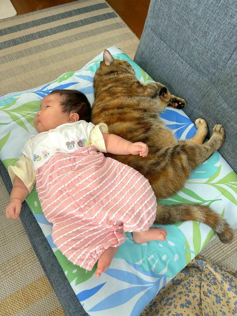 提供：エルモとみみりんさん