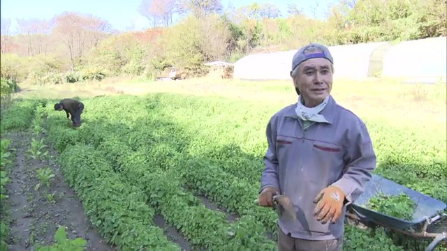 田舎に暮らす人の日常を求めてやって来る