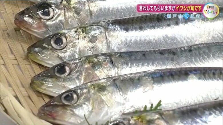 マイワシ