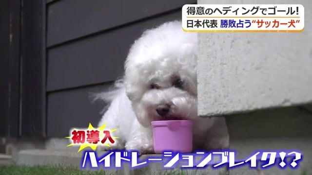 水分補給もしっかり