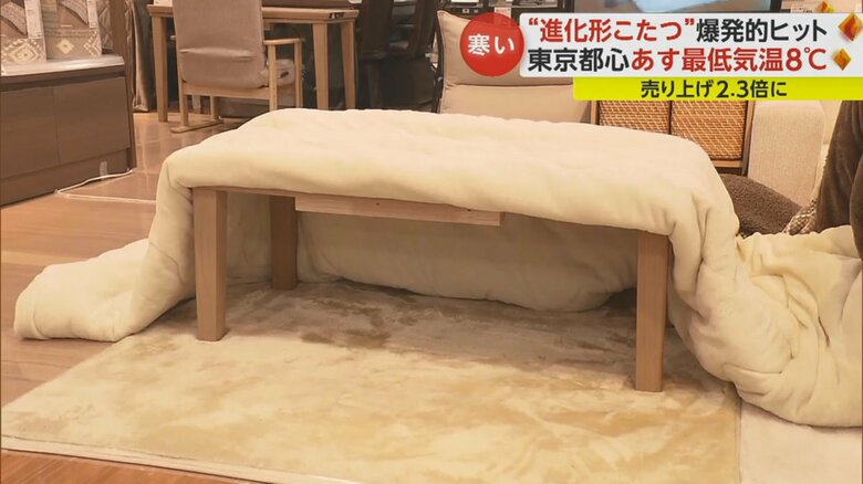 組立設置付 こたつもソファも高さ調節できる 収納付きリビング 組立設置付 こたつもソファも高さ調節できる 収納付きリビング