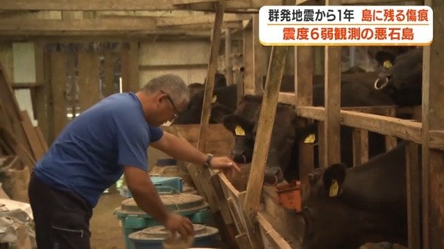 牛の世話をする坂元裕幸さん