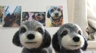 「サラが帰ってきた」生前そっくりの姿に涙　ともに震災乗り越えたペットのぬくもり再現　羊毛フェルト作家のこだわりと飼い主の特別な思い