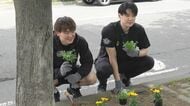 今年で10回目レバンガ＆エスポラーダの選手が北海きたえーるを彩る花植え活動