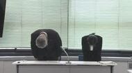 電気事業・水道事業の消費税納付を怠り７万３０００円余りの延滞税　島根県企業局が謝罪