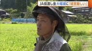 【コメ】“仮渡し金”4割減に「あまりにも安すぎる」　生産者から“廃業”危惧する声も「経営成り立たなくなる」新潟