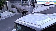 広島市佐伯区の住宅街にクマ？　防犯カメラに黒い動物　「不安です、怖いです」小学校１校が臨時休校