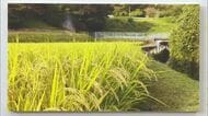 幻の鉄道区間をテーマに　 高千穂未成線遺構の写真資料展