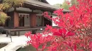 えさし藤原の郷で紅葉が見頃　夜のライトアップも開催中　岩手県