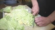 お好み焼き店からは“悲鳴”…記録的な長雨の影響でキャベツが生育不良 店主「仕入れ価格が2倍から2.5倍ぐらい」