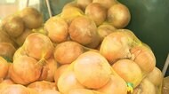 タマネギ・ジャガイモ高値続く キャベツなど葉物は安く