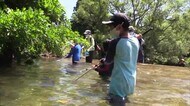 「アメンボとヤゴを捕まえた!」川遊びで学ぶ 森林が守る水環境 フォレストキッズクラブ<福島県郡山市>