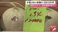 夕張メロンにもコロナ余波…初競り前年の「40分の1」