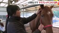 「めざすは有馬記念！」元保育士ママの新たな挑戦　牛舎の隣でサラブレッド生産　4人の子育てしながら競走馬生産の夢を追う 【鹿児島発】