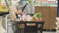「子供のお菓子100円まで」　物価高で家計の見直し待ったなし【大阪発】