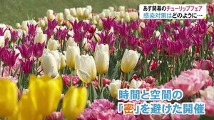 「となみチューリップフェア」22日開幕…コロナ禍の感染防止対策は