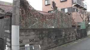 相次ぐ『所有者不明の土地』トラブル どうやって解決する?