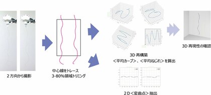 一丸ファルコス、毛髪の三次元形状解析に基づき、うねりの印象を定量化する感性評価法を構築。第21回日本感性工学会にて発表