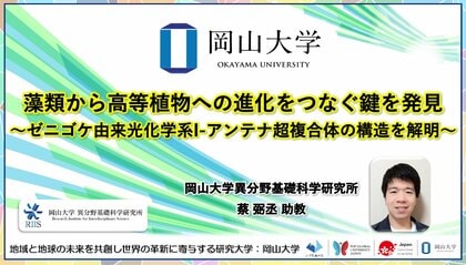 【岡山大学】藻類から高等植物への進化をつなぐ鍵を発見～ゼニゴケ由来光化学系I-アンテナ超複合体の構造を解明～