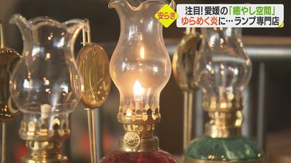 ランプの揺らめく炎にうっとり…恐竜が食べていた!? 世界最古の植物も　癒やしのおすすめスポット【愛媛発】