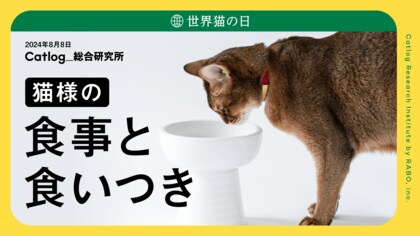 世界猫の日(8月8日)に猫様のQOLに関する調査「猫様の食事と食いつき」のレポートを発表!