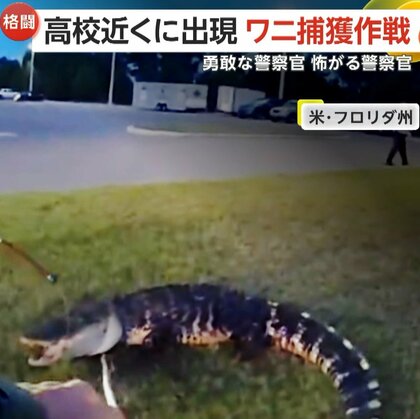「お茶の子さいさいだ」体長約2mのワニに警察官が馬乗りになりラクダ固め…「噛まれたら」ビビる警察官も　米フロリダ州