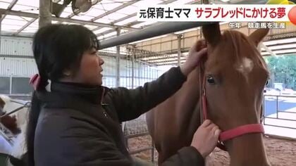 「めざすは有馬記念！」元保育士ママの新たな挑戦　牛舎の隣でサラブレッド生産　4人の子育てしながら競走馬生産の夢を追う 【鹿児島発】
