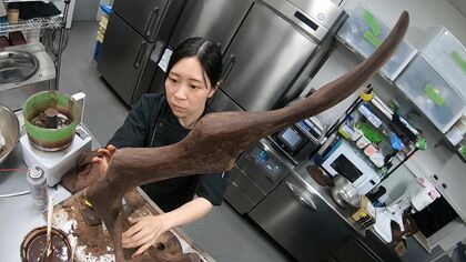 日本一を目指して試行錯誤〜国内最大級「ジャパン・ケーキショー」で頂点を　若きパティシエたちの挑戦【島根発】