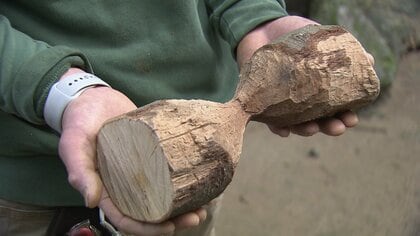 森の建築家が”歯づくり”した作品がSNSで大人気　買いたい人が続出！グッズ展開も検討中