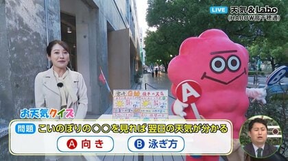 こいのぼりの〇〇を見れば翌日の天気がわかる！？カギは高気圧と低気圧　こいのぼりが北を向くと翌日は晴れる？気象予報士が解説