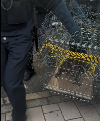 【速報・続報】サル捕獲　広島市の市街地　最初の目撃情報から7日