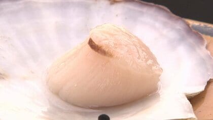 禁輸でなぜホタテ推す？大打撃の裏に中国依存 在庫余るも安売りしない理由は“ホタテ業界のジレンマ”【北海道発】