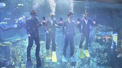 新人のスーツ濡れてかわいそう の声に意外な答え 鳥羽水族館の 水中