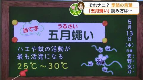 虫が最も元気になる今の気温 佐賀では29℃予想の真夏日に迫る暑さ【佐賀県】