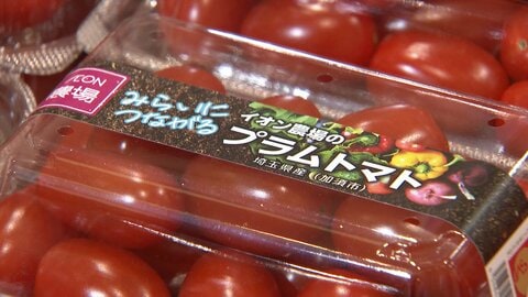 イオンが環境配慮フェア 49社が参加　「未利用魚活用」や「レンチン不要」も