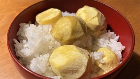 失敗しない！ふっくら炊き込みご飯のコツは「早炊きモード」と「吸水」。お米ライターが実践する作り方とお勧め食材