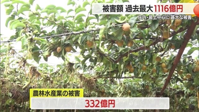 木や柵が根こそぎ流された刈屋梨の畑もあった