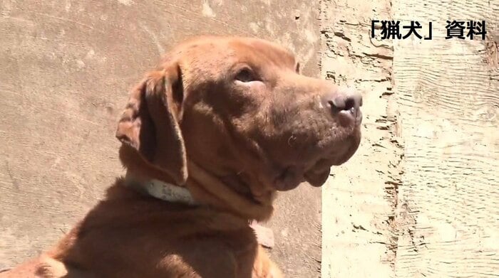 「猟犬」資料映像