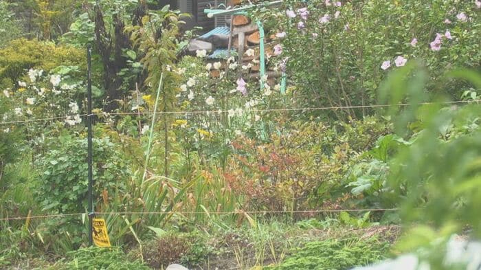 クマが犬を襲った現場周辺　長野県塩尻市