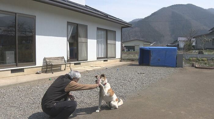 県内で引き取られた犬と新しい飼い主