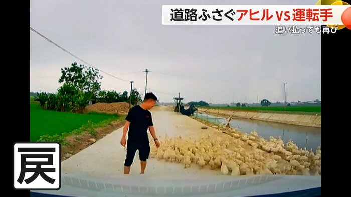 (スペクター・コミュニケーションズ)
