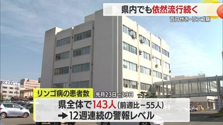 【山形】リンゴ病・百日ぜき流行続く　リンゴ病は12週連続警報レベル｜FNNプライムオンライン