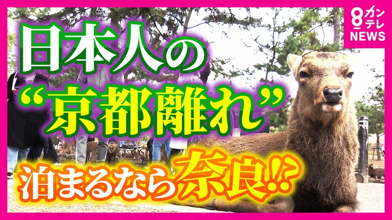 京都から日本人が消える…受け皿は高市首相の地元、奈良　でも夜7時には人がいない...「夜早すぎ問題」克服がカギ｜FNNプライムオンライン