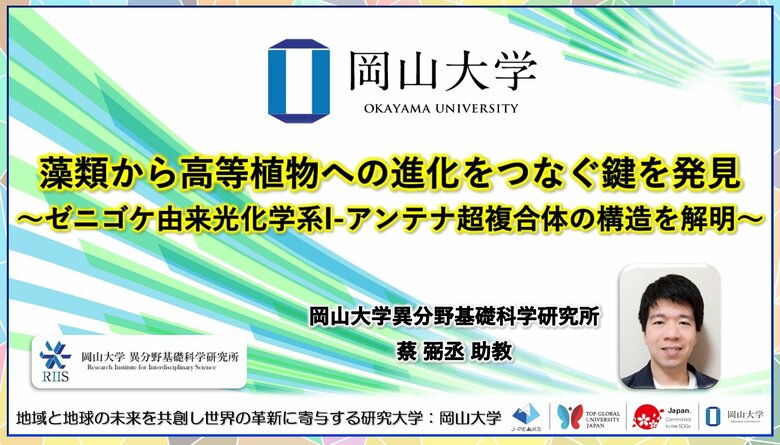 【岡山大学】藻類から高等植物への進化をつなぐ鍵を発見～ゼニゴケ由来光化学系I-アンテナ超複合体の構造を解明～